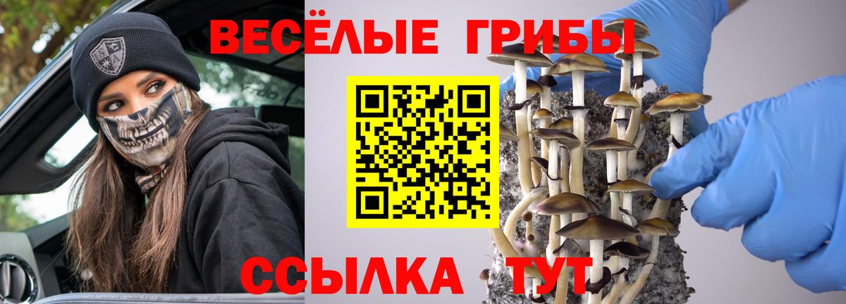 магазин продажи   Вход с VPN  Усть-Джегута  Галлюциногенные грибы мицелий 